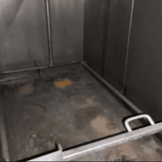 Универсальная термокамера ducotechnik 4х дверная