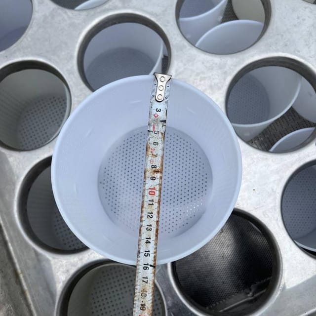 Ванна с сырными формами инв.12634