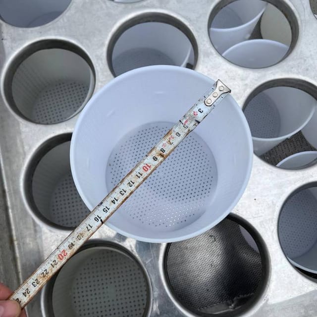 Ванна с сырными формами инв.12634