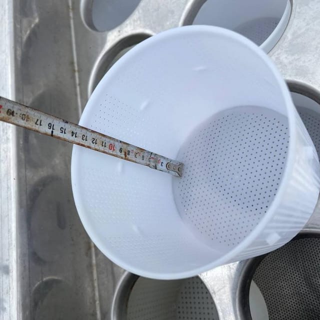 Ванна с сырными формами инв.12634