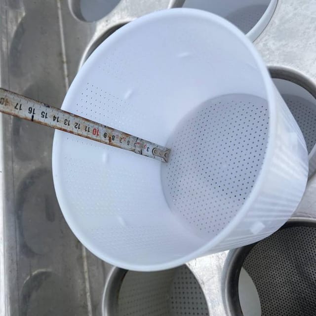 Ванна с сырными формами инв.12634