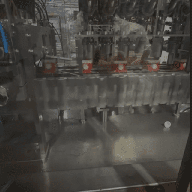 Автомат розлива Galdi RG 250  в ПЮРПАК