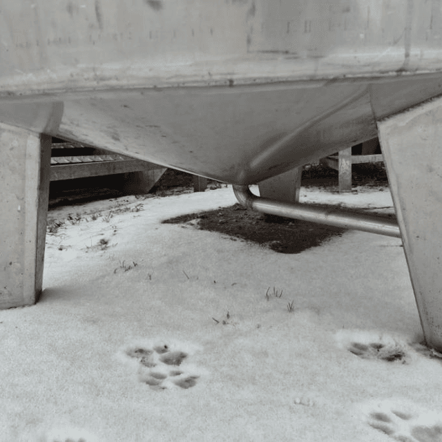 Емкости нержавеющие 1 куб.м е.4342