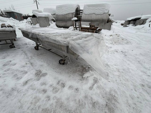 Пресс сырный ПТЦ-40 туннельный инв.13924
