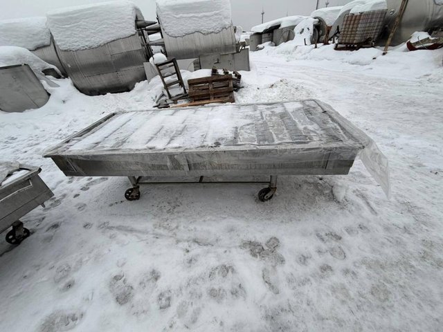 Пресс сырный ПТЦ-40 туннельный инв.13924