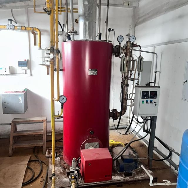 Котел паровой КПО-250 газовый.