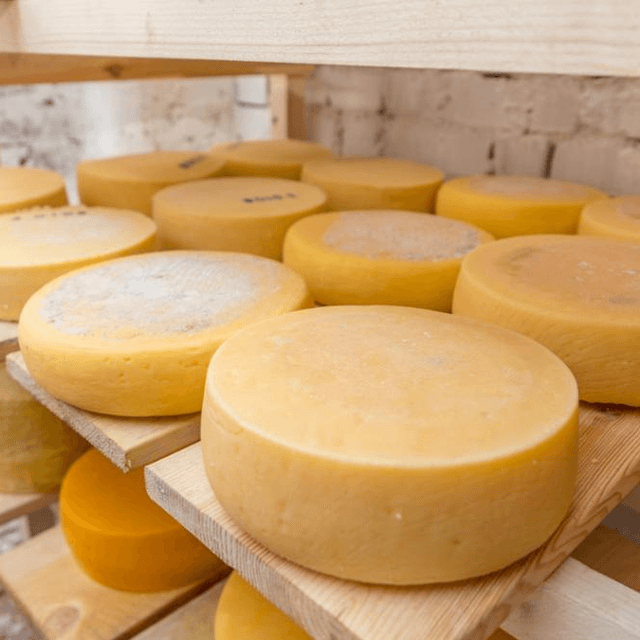 Оборудование для производства сыра